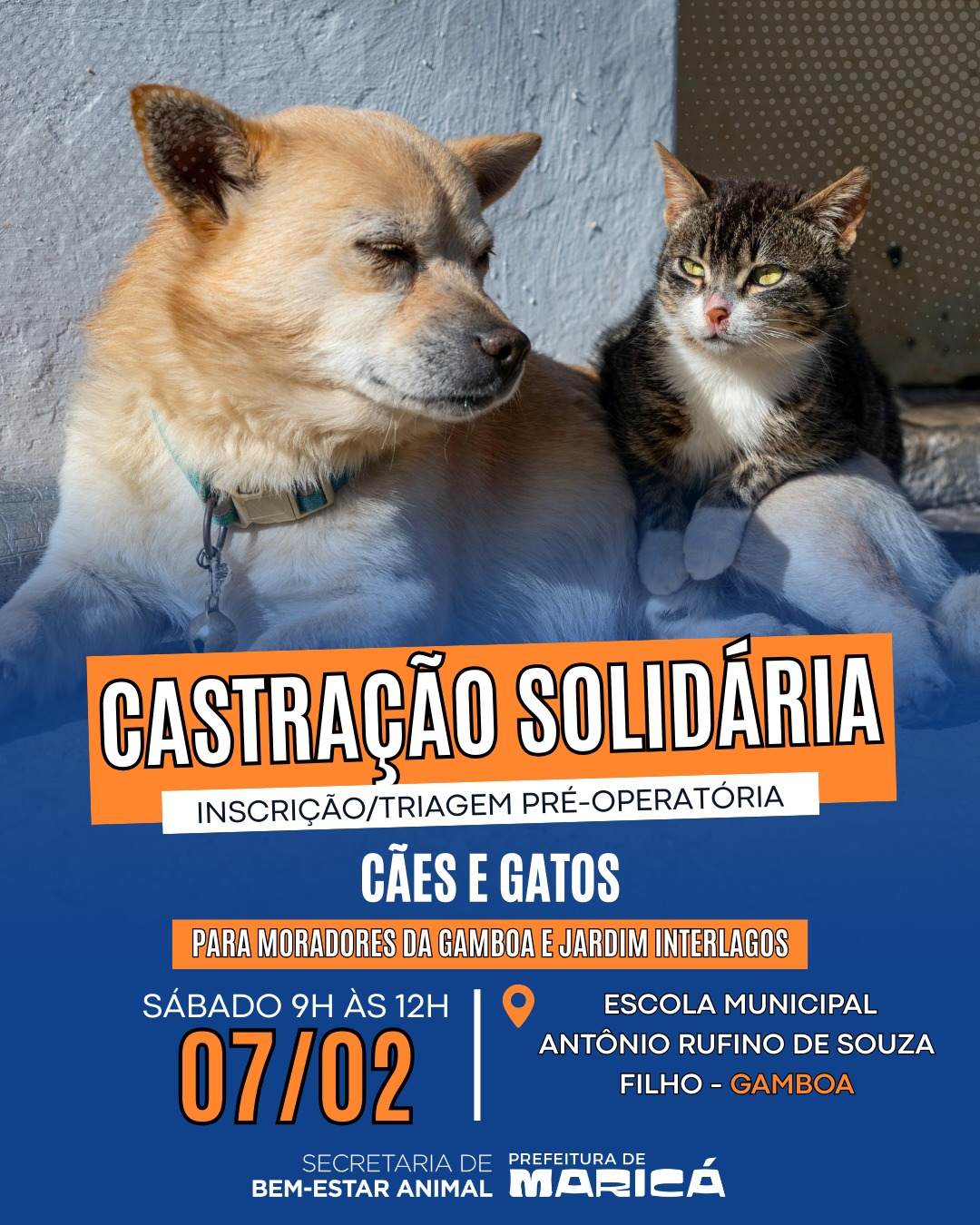 Castração Solidária em Gâmboa – Jardim Interlagos